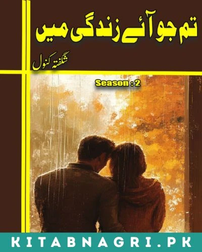 Tum Jo Aye Zindagi Main Season 2