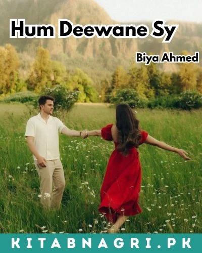 Hum Deewane Sy