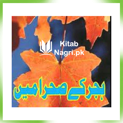 Hijar Ke Sehra Mein Novel by Humera Nigah pdf