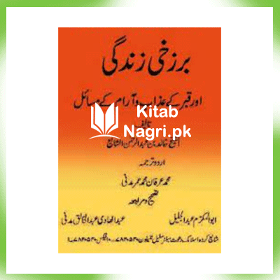 Barzakhi Zindagi By Abdul Hadi Abdul Khaliq Madni