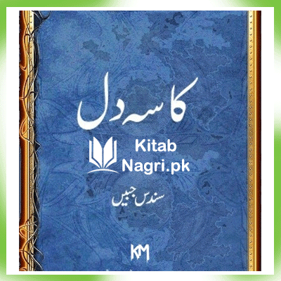 Kasa E Dil Novel by Riffat Siraj