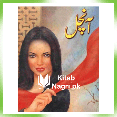 Aanchal Novel by Mohiuddin Nawab PDF