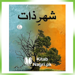 Shehr e Zaat Novel by Umera Ahmed PDF