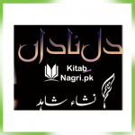 Dil-e-Nadan-Novel-By-Nisha-Shahid-PDF-Download