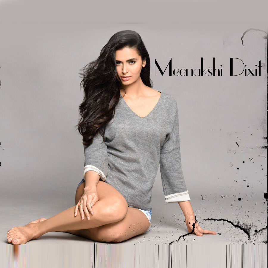 Meenakshi Dixit Age Biography