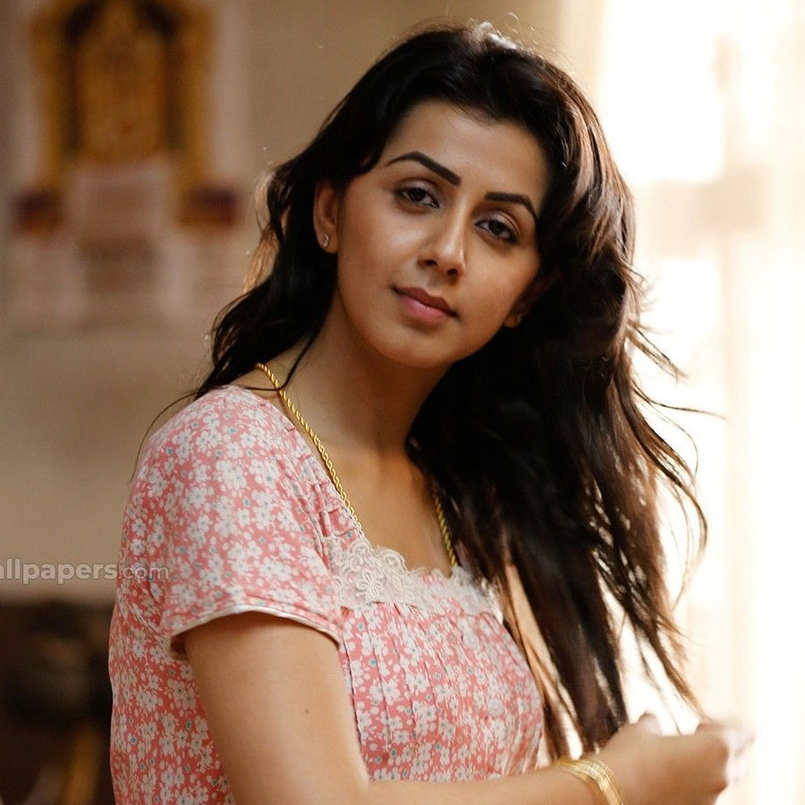 Nikki Galrani Age Biography, Height, Wiki, Net Worth